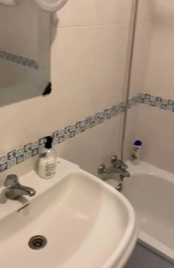 Apartamento La Trocha Con Barbacoa Apartment Coin
